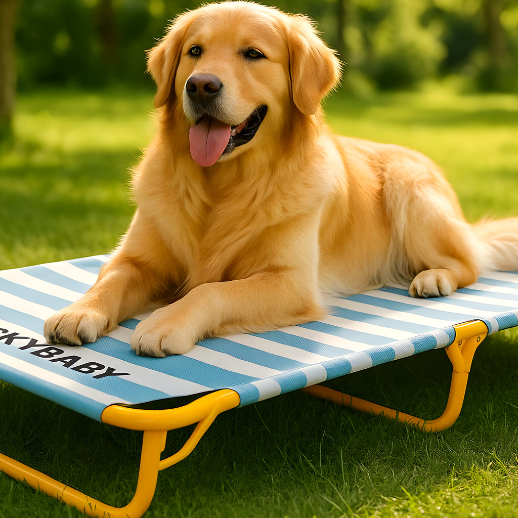Lit de camp surélevé bleu ou vert pour chien, 3 tailles