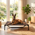 Lit de camp surélevé micro-perforé marron pour chien