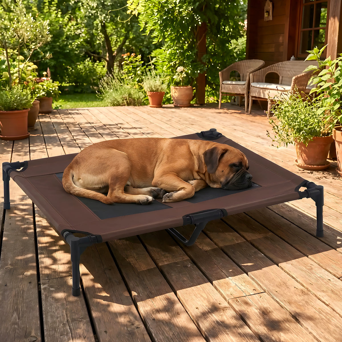 Lit de camp surélevé micro-perforé marron pour chien