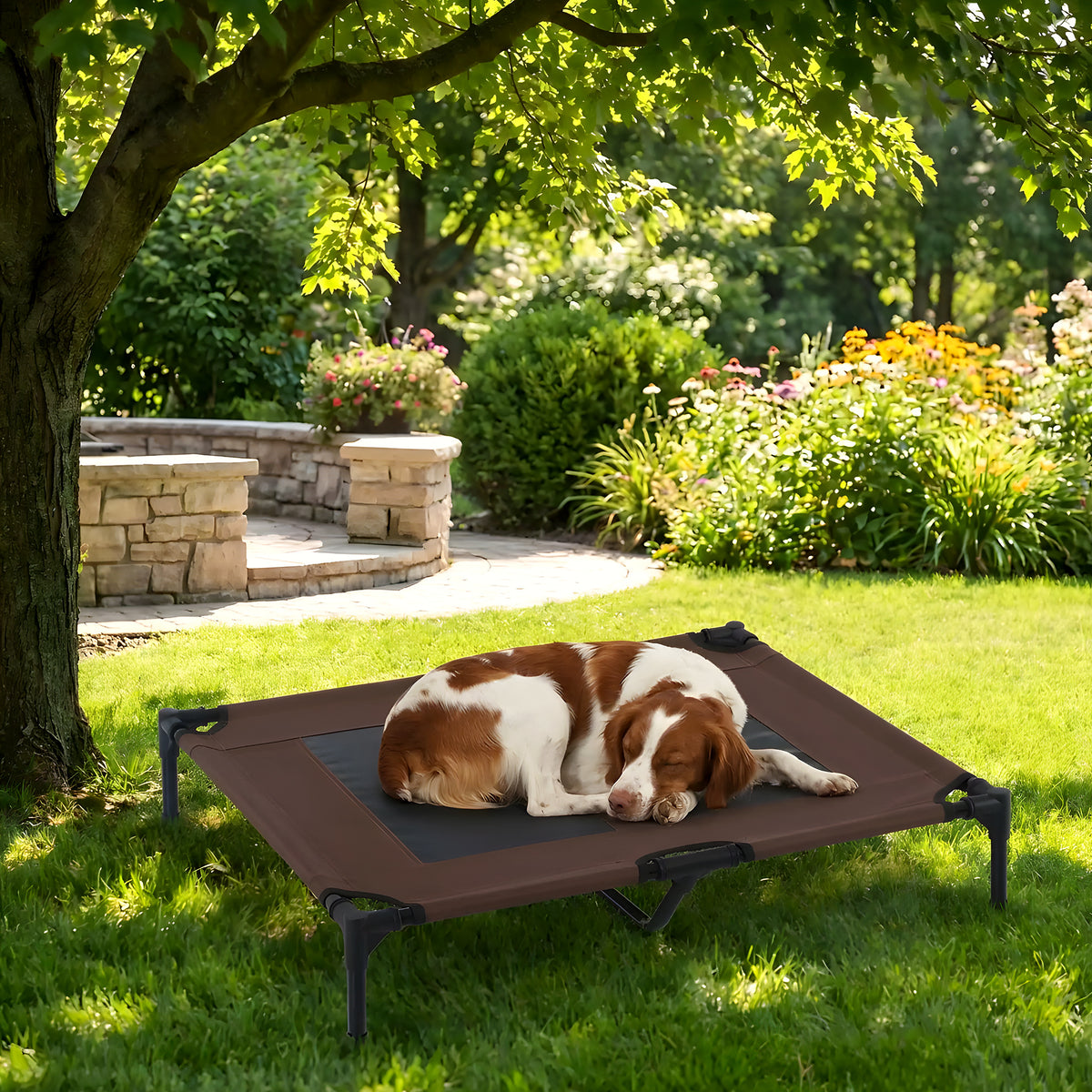 Lit de camp surélevé micro-perforé marron pour chien