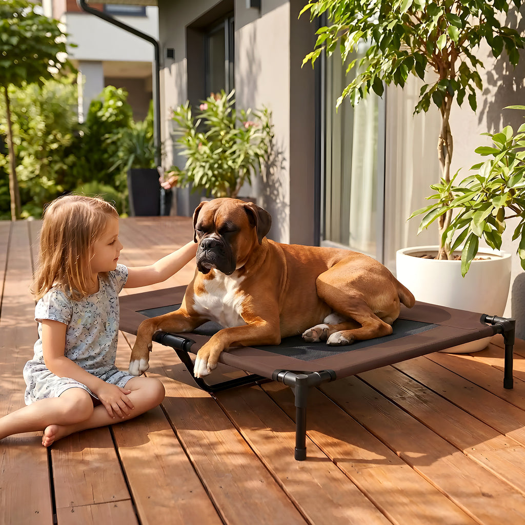 Lit de camp surélevé micro-perforé marron pour chien
