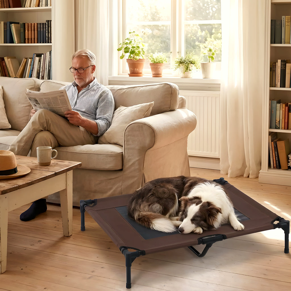 Lit de camp surélevé micro-perforé marron pour chien