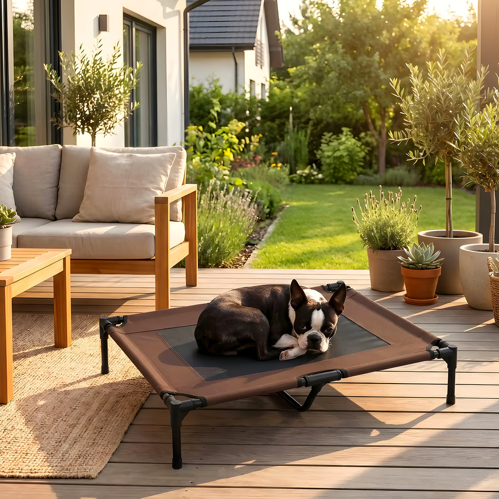 Lit de camp surélevé micro-perforé marron pour chien