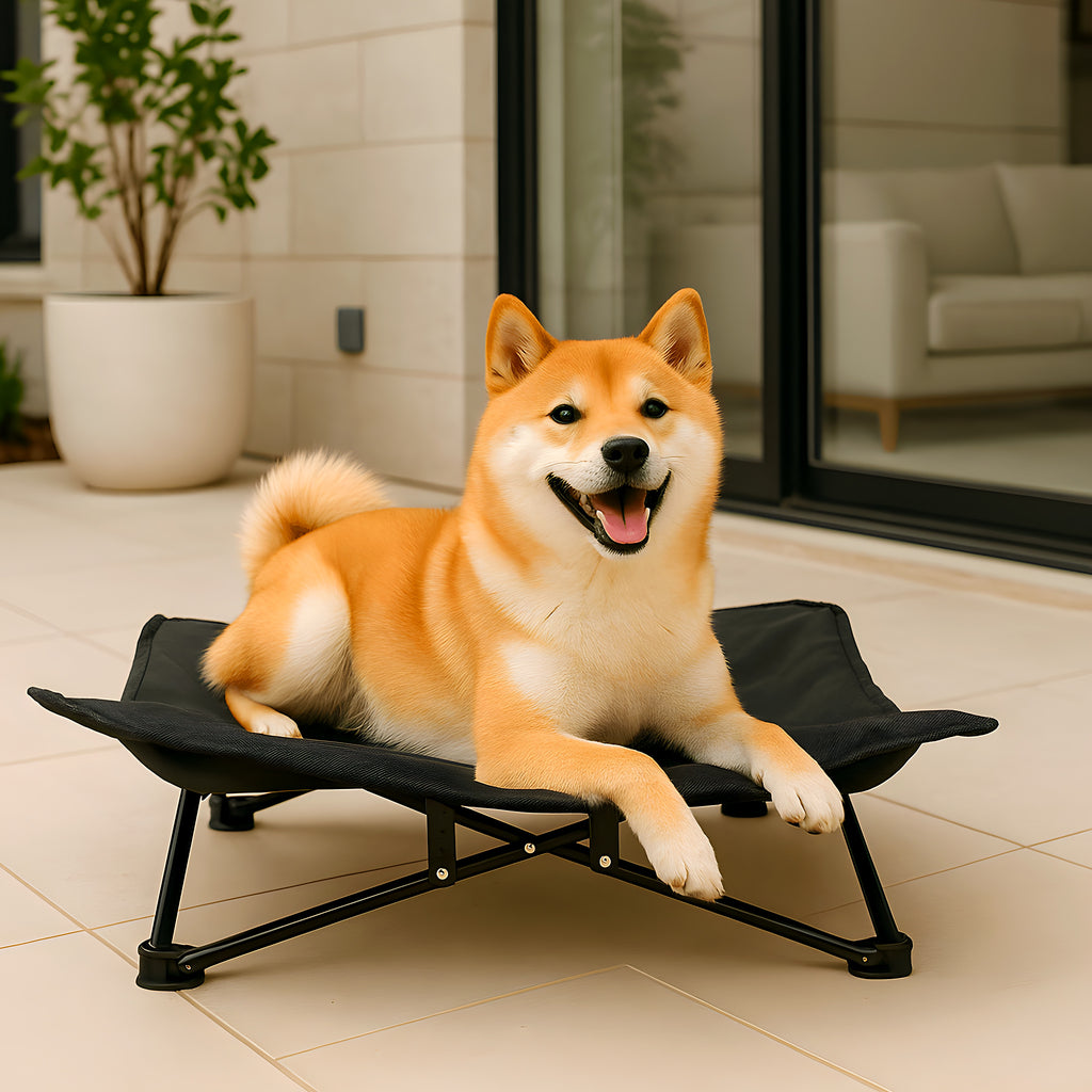 Lit de camping pliable 70 x 70 cm avec sac pour chien