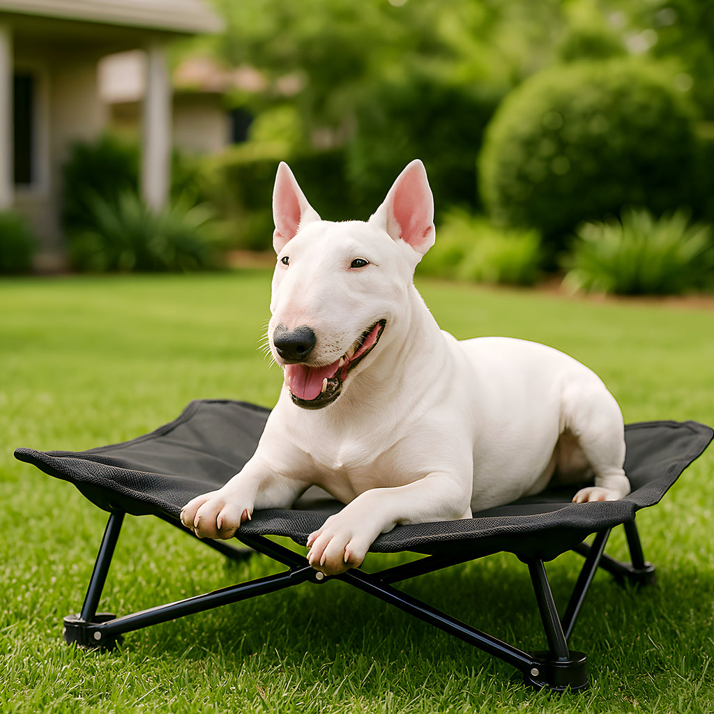 Lit de camping pliable 70 x 70 cm avec sac pour chien