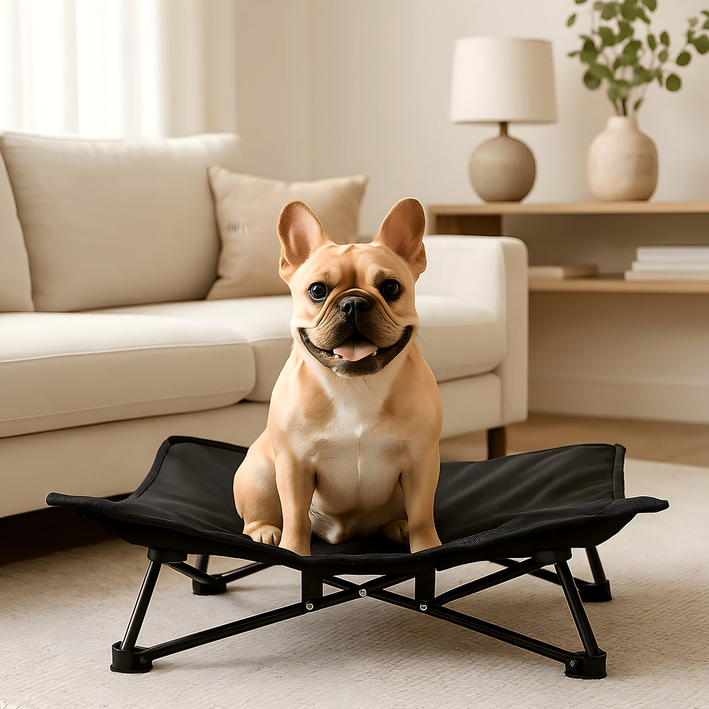Lit de camping pliable 70 x 70 cm avec sac pour chien