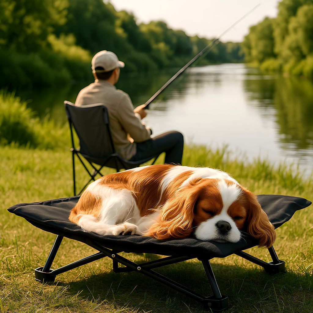 Lit de camping pliable 70 x 70 cm avec sac pour chien