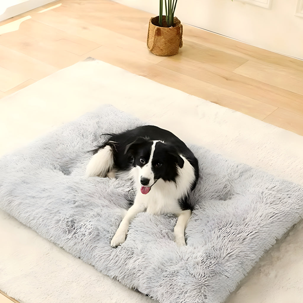 Lit en fourrure douce pour chien, S à XL