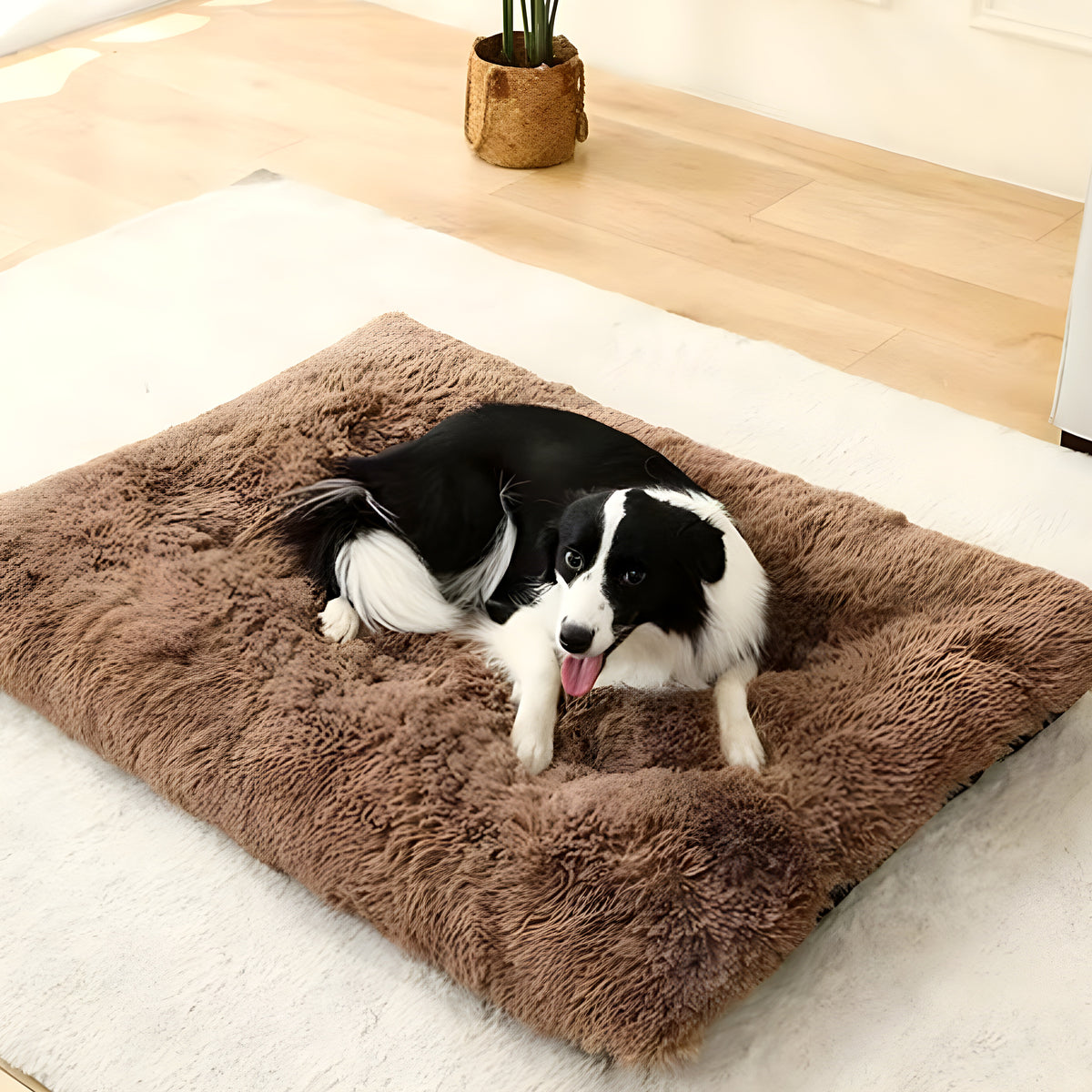 Lit en fourrure douce pour chien, S à XL