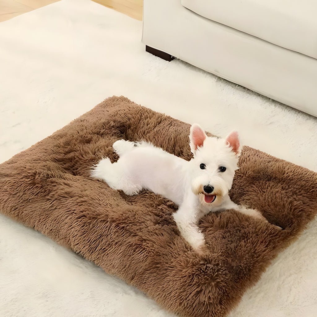 Lit en fourrure douce pour chien, S à XL