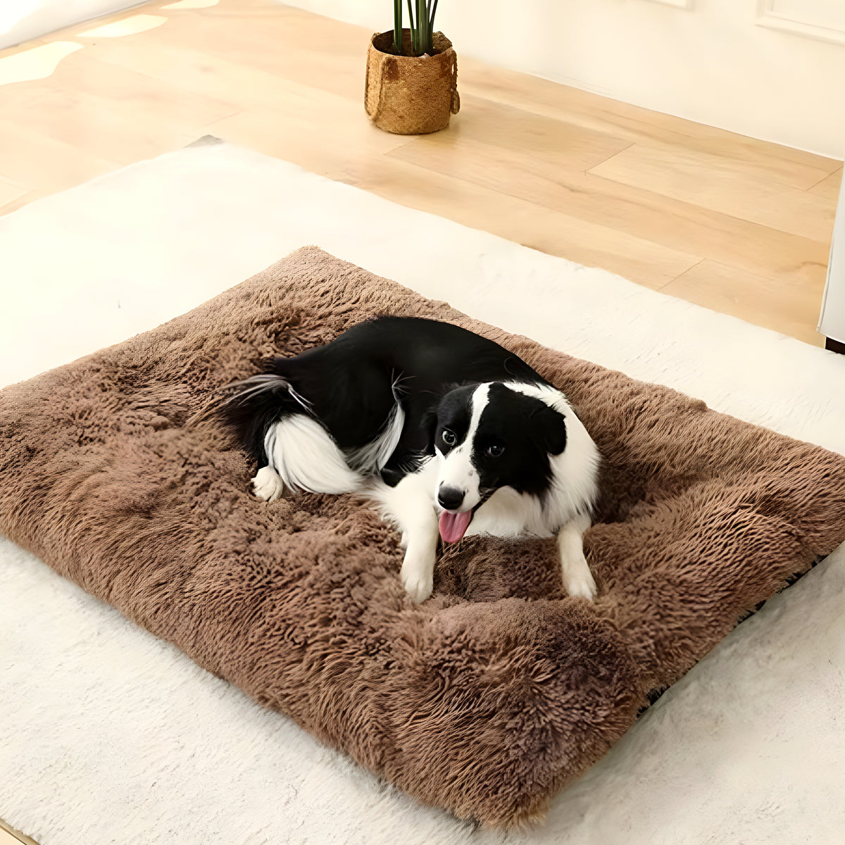 Lit en fourrure douce pour chien, S à XL