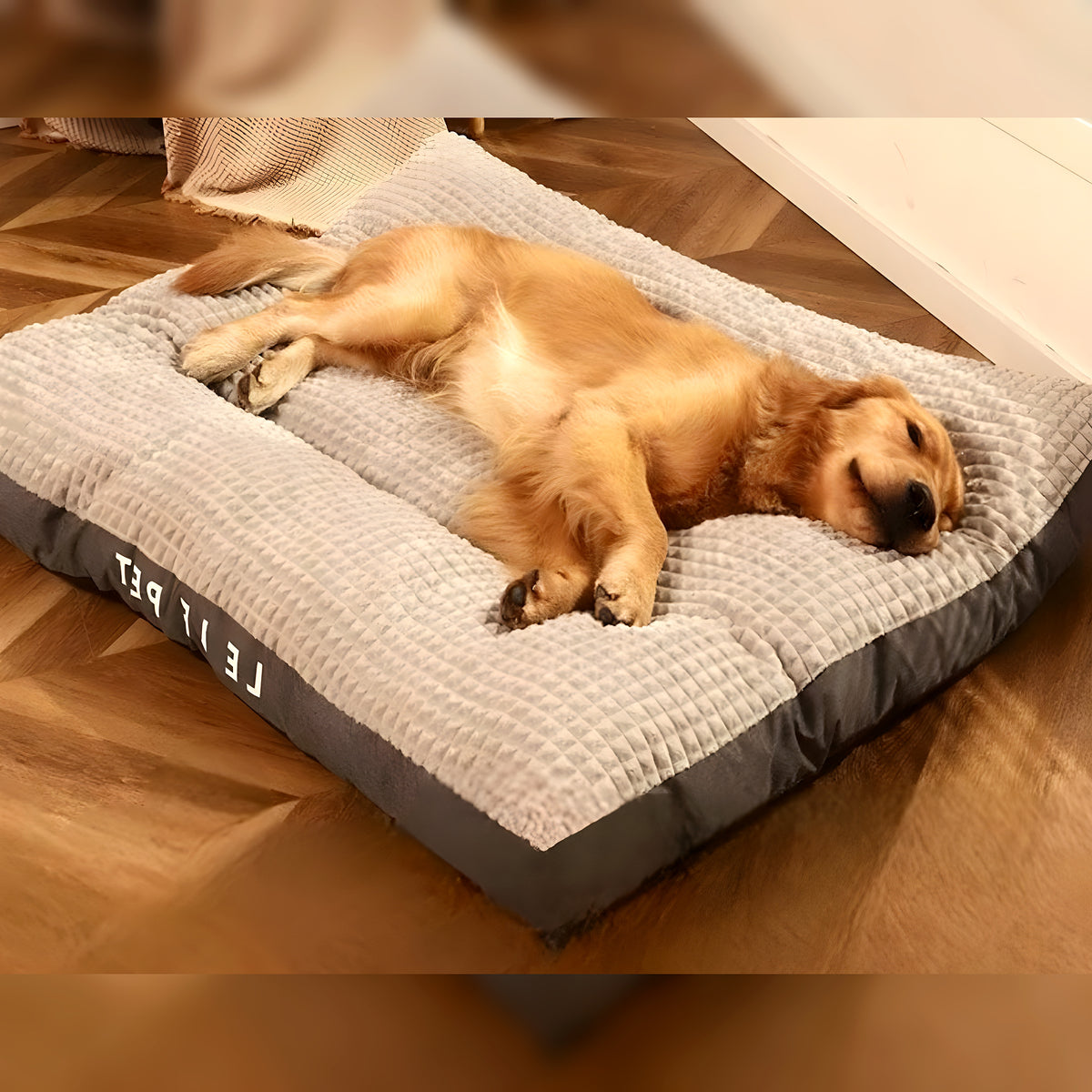 Lit imperméable à housse zippée pour chien, M à XXL