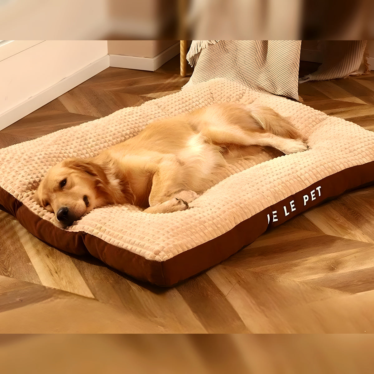 Lit imperméable à housse zippée pour chien, M à XXL
