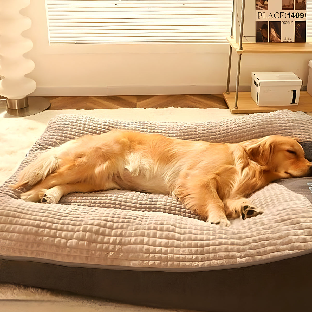 Lit imperméable à housse zippée pour chien, M à XXL