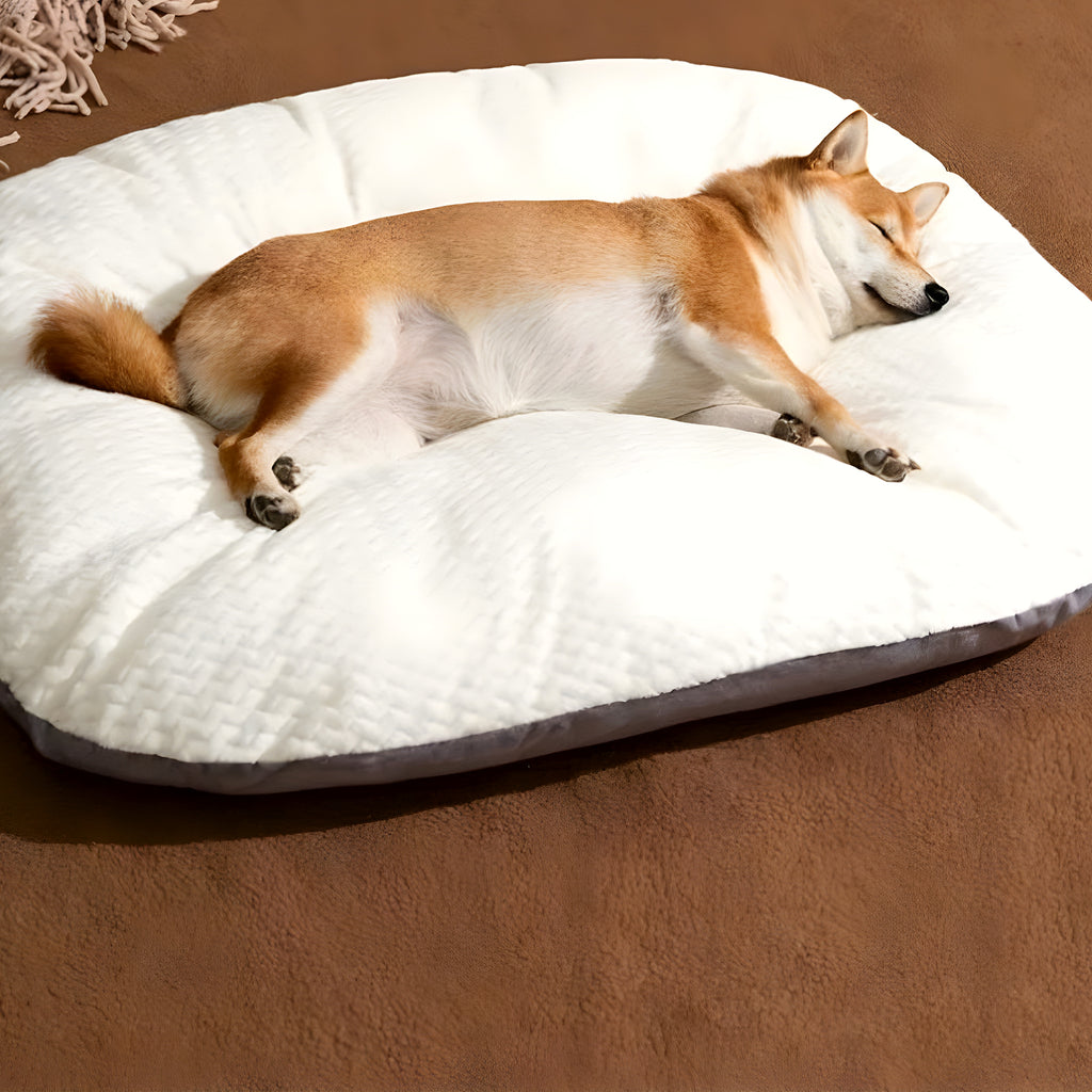 Lit moelleux en polaire corail pour chien, S à L