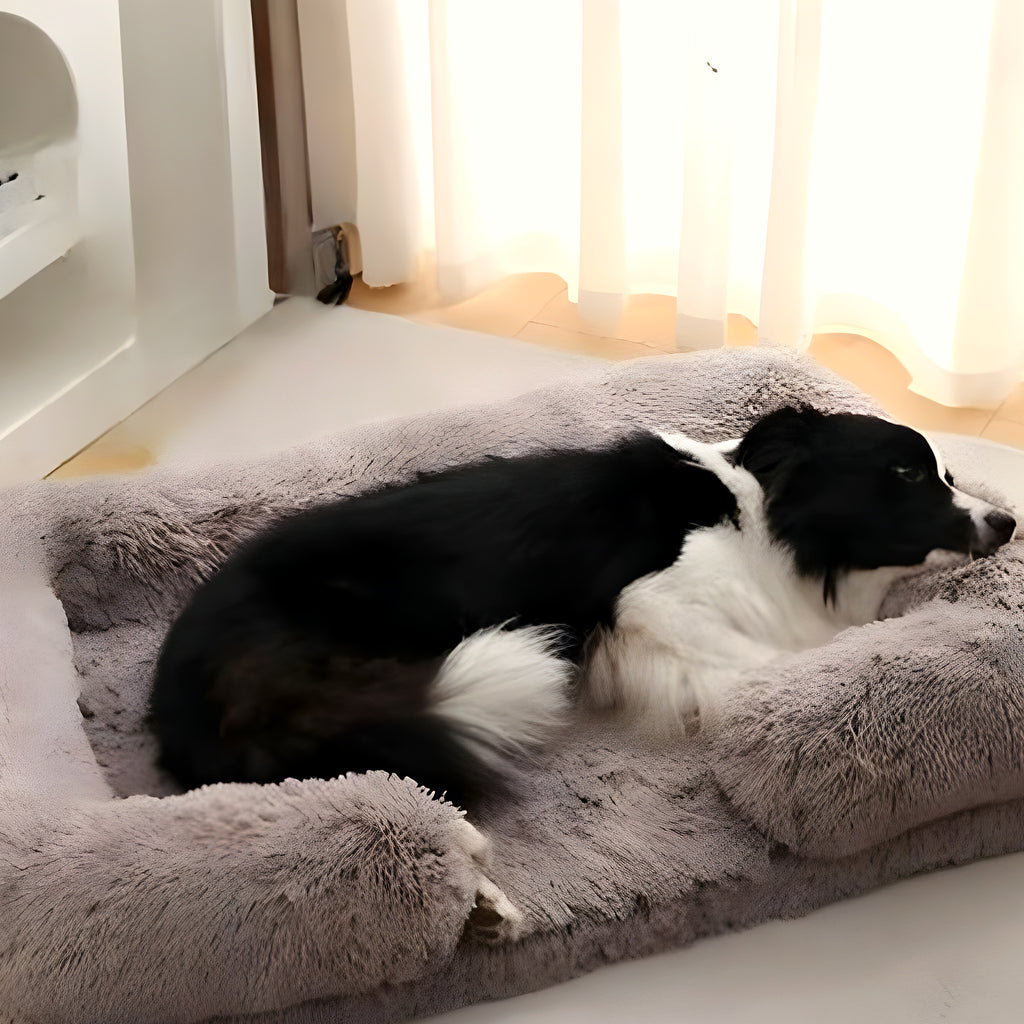 Lit orthopédique à mémoire de forme pour chien, S à XL