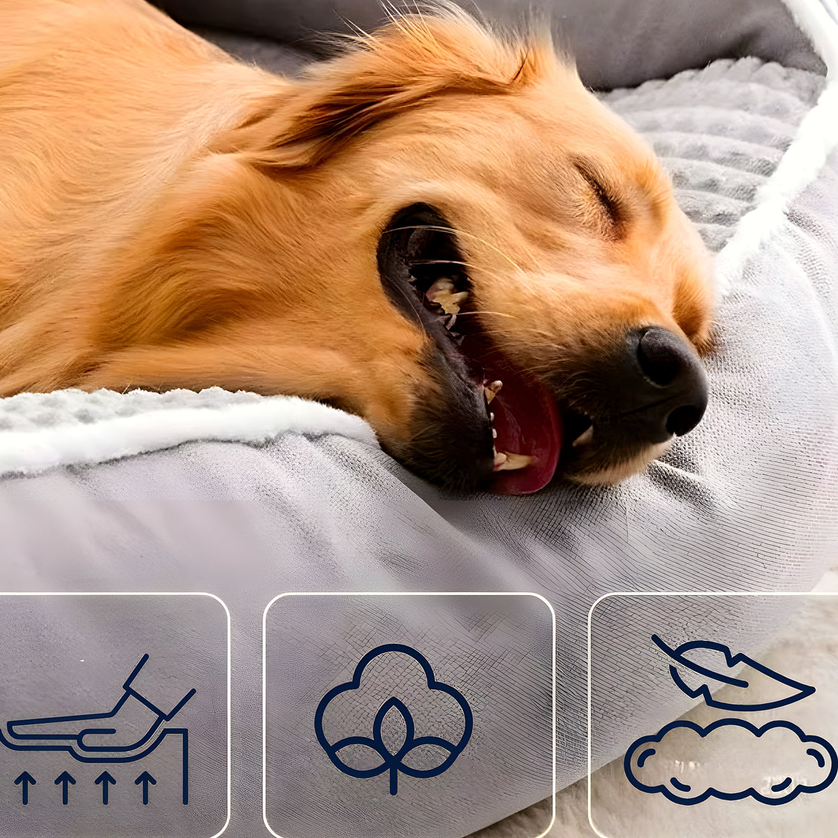Lit orthopédique à mémoire de forme pour chien, S à XXL