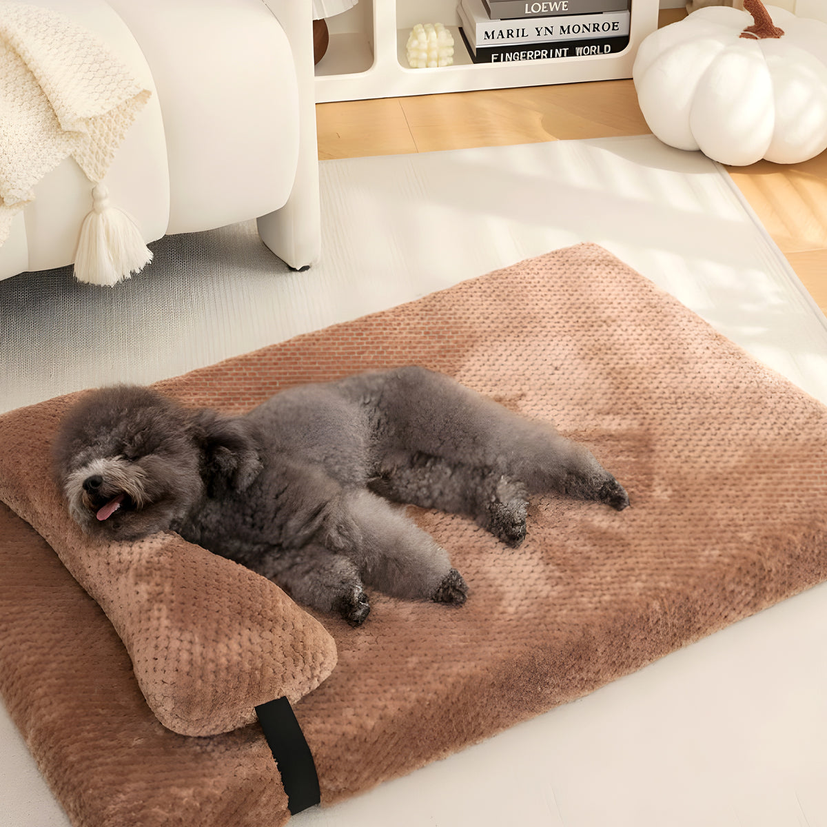 Lit orthopédique avec coussin assorti pour chien, M à XL