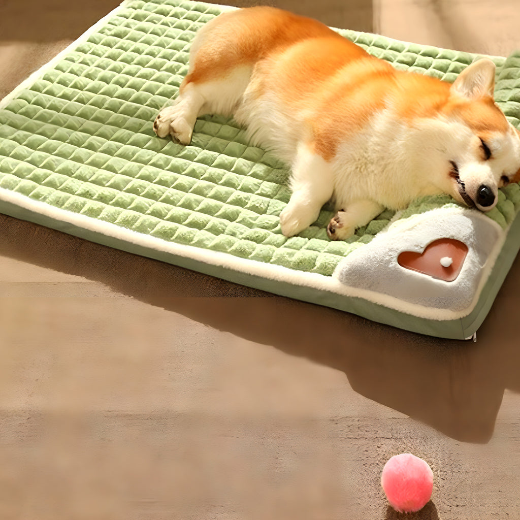 Lit orthopédique avec traversin pour chien, S à XL