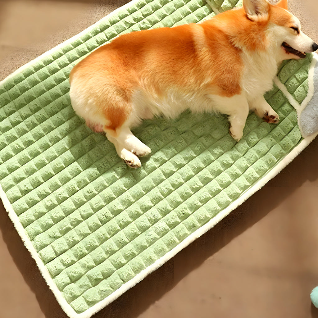 Lit orthopédique avec traversin pour chien, S à XL