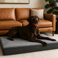 Lit orthopédique réversible peluche et Oxford pour chien