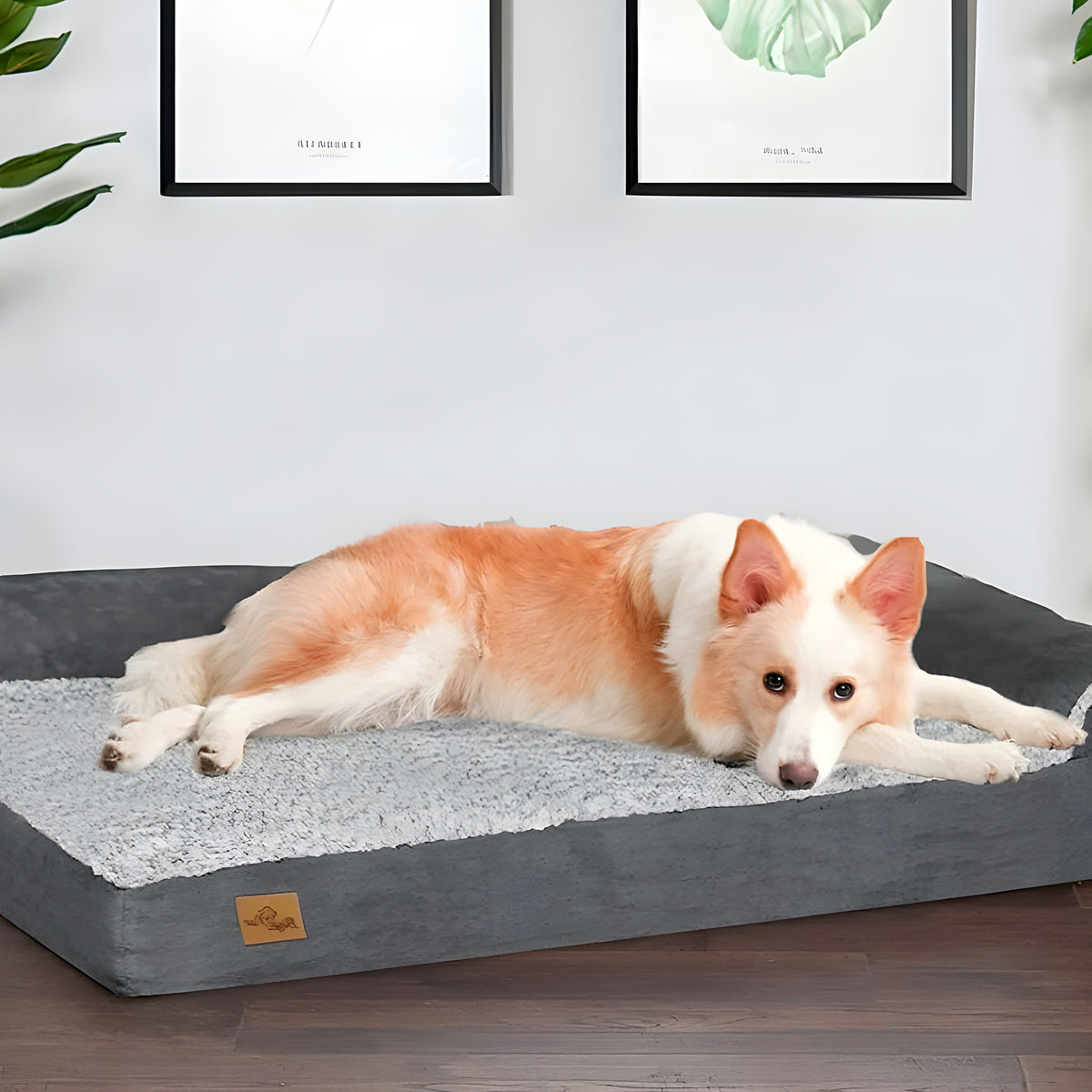 Lit orthopédique XXL en L pour grand chien