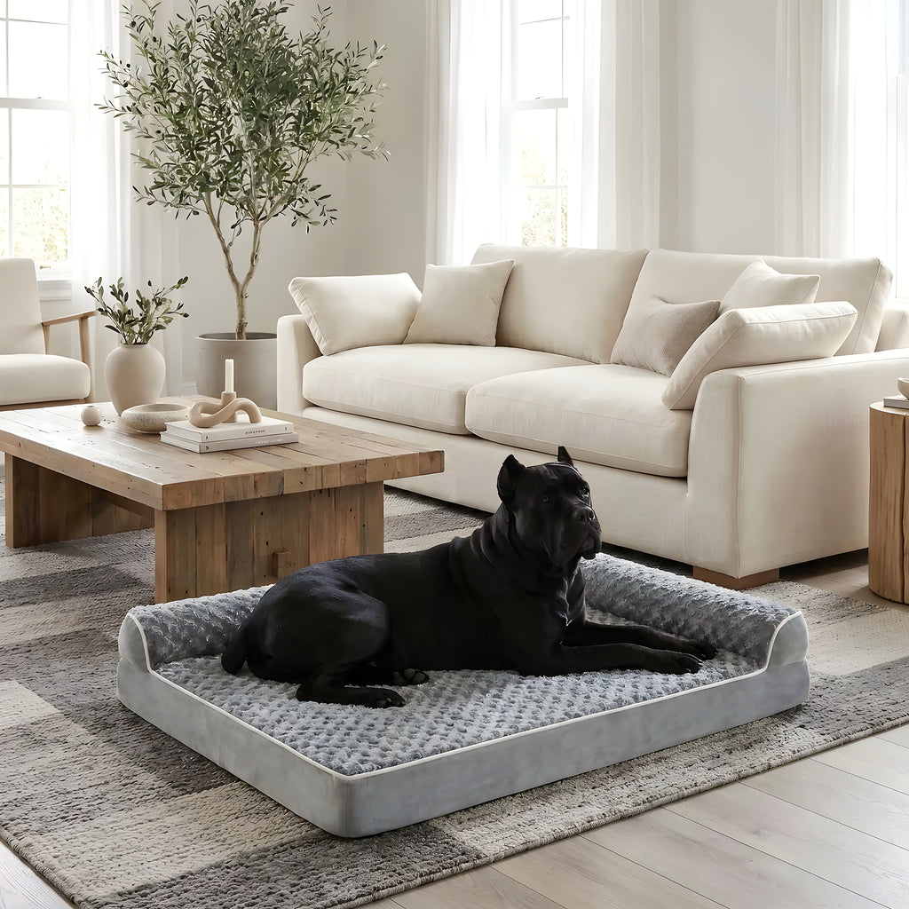 Lit orthopédique XXL gris clair pour chien jusqu'à 50 kg