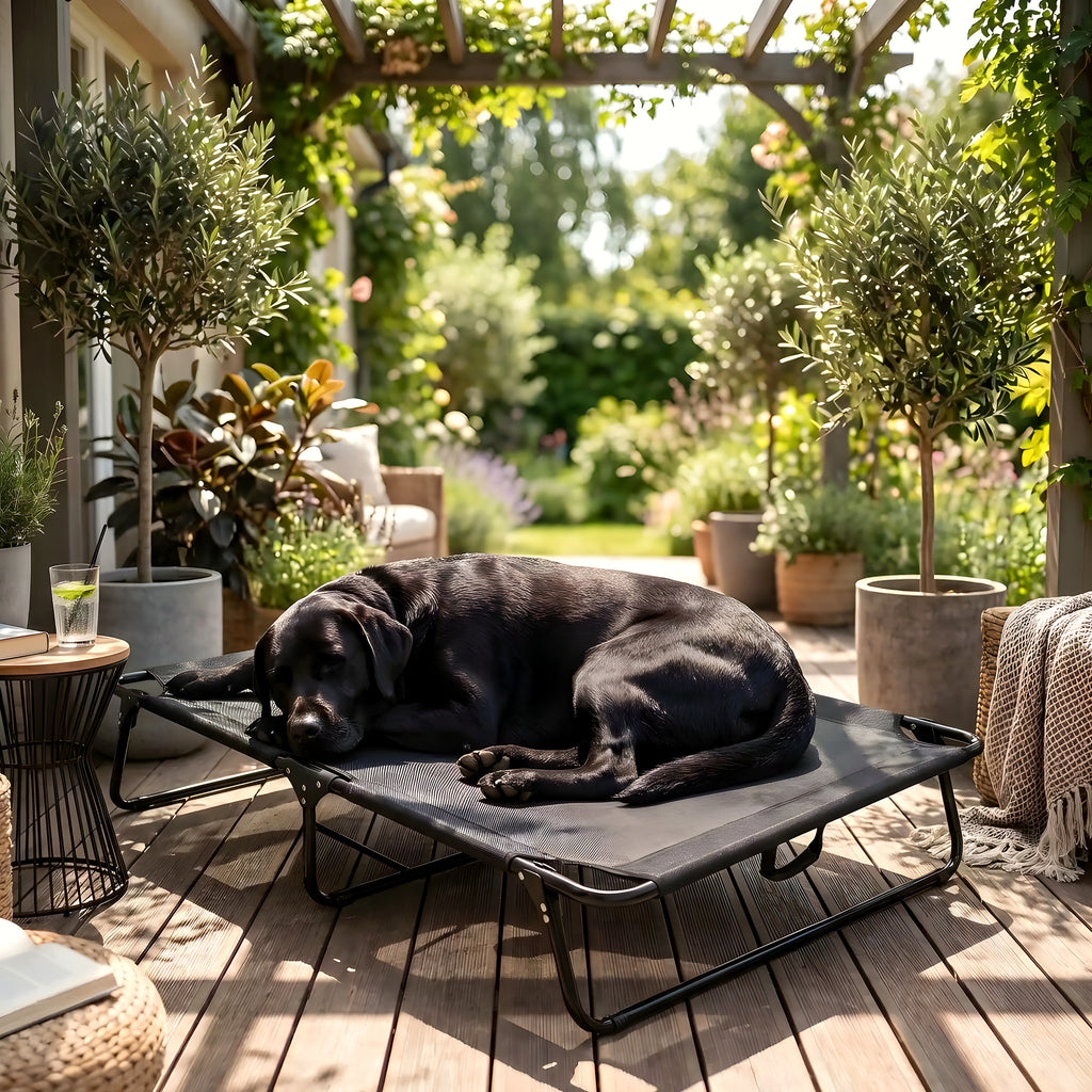 Lit pliant surélevé en textilène pour chien, 4 tailles