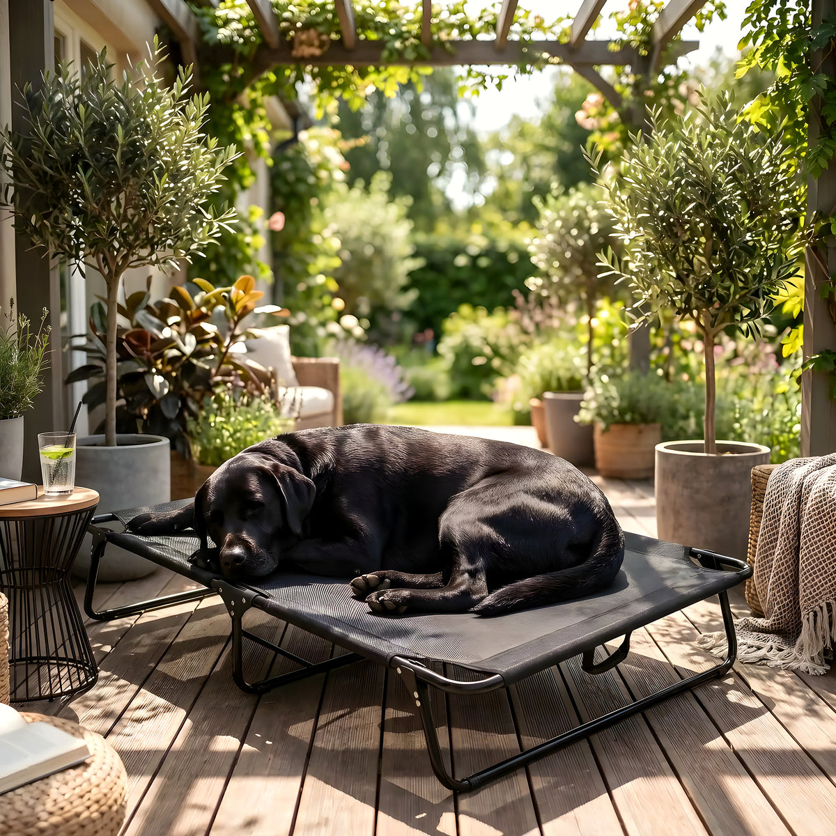 Lit pliant surélevé en textilène pour chien, 4 tailles
