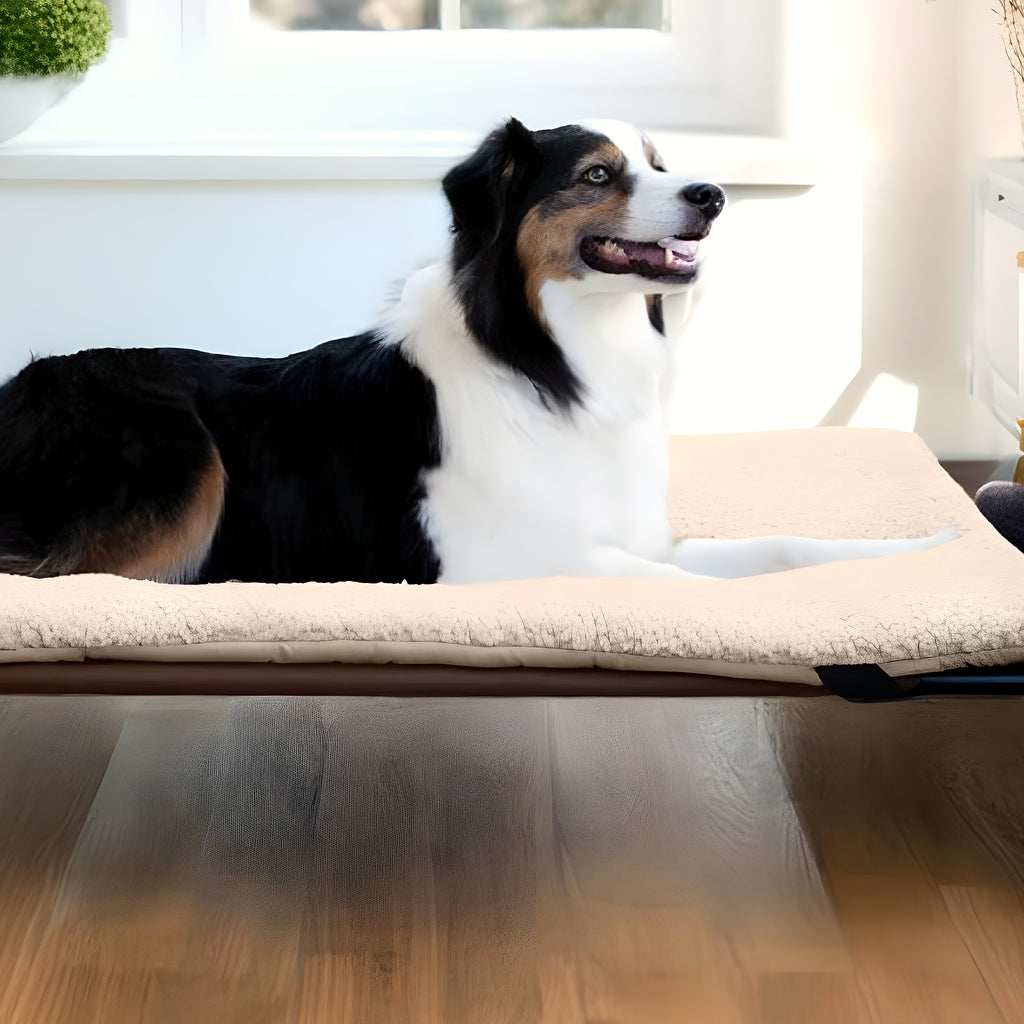 Lit surélevé en acier et tissu pour chien, S à L