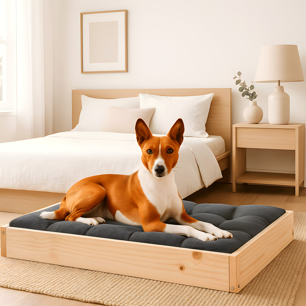 Lit surélevé en pin naturel non traité pour chien