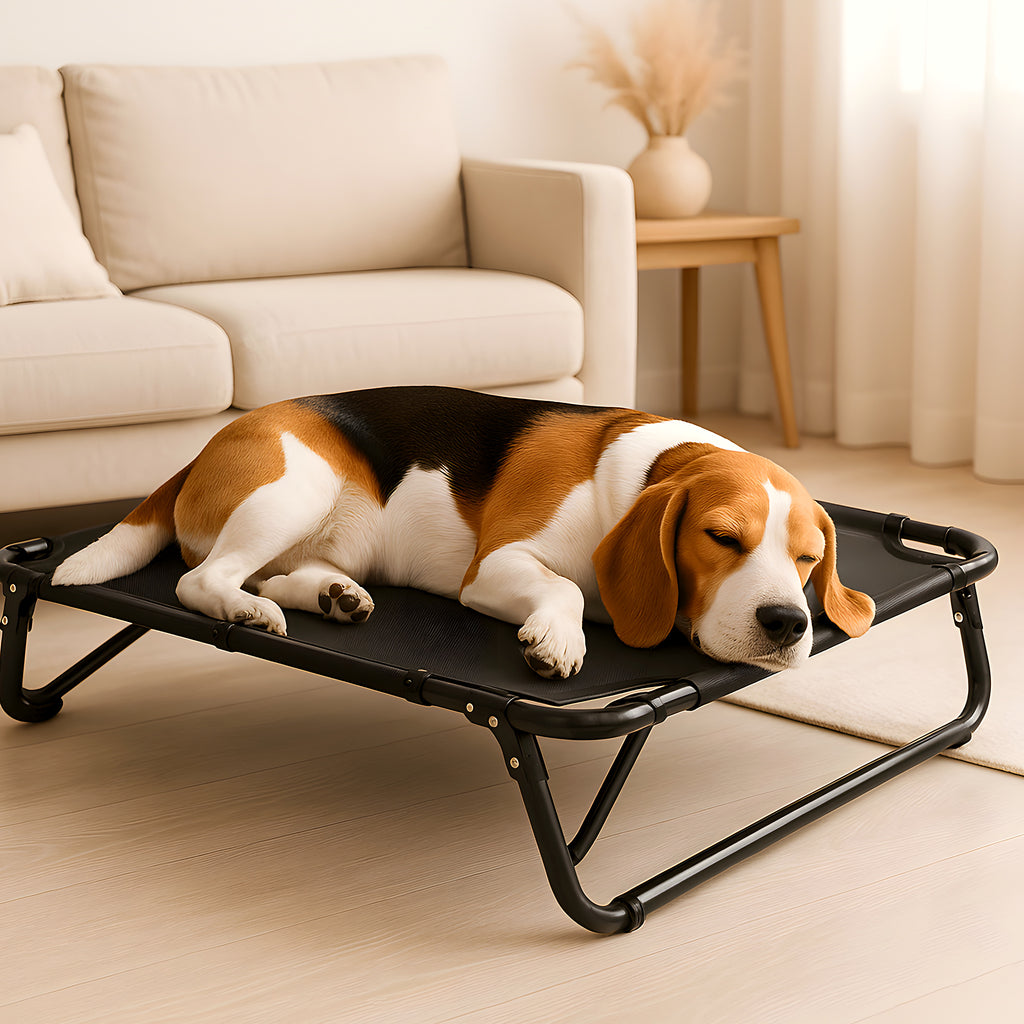 Lit surélevé pliable noir pour chien, coussin en option