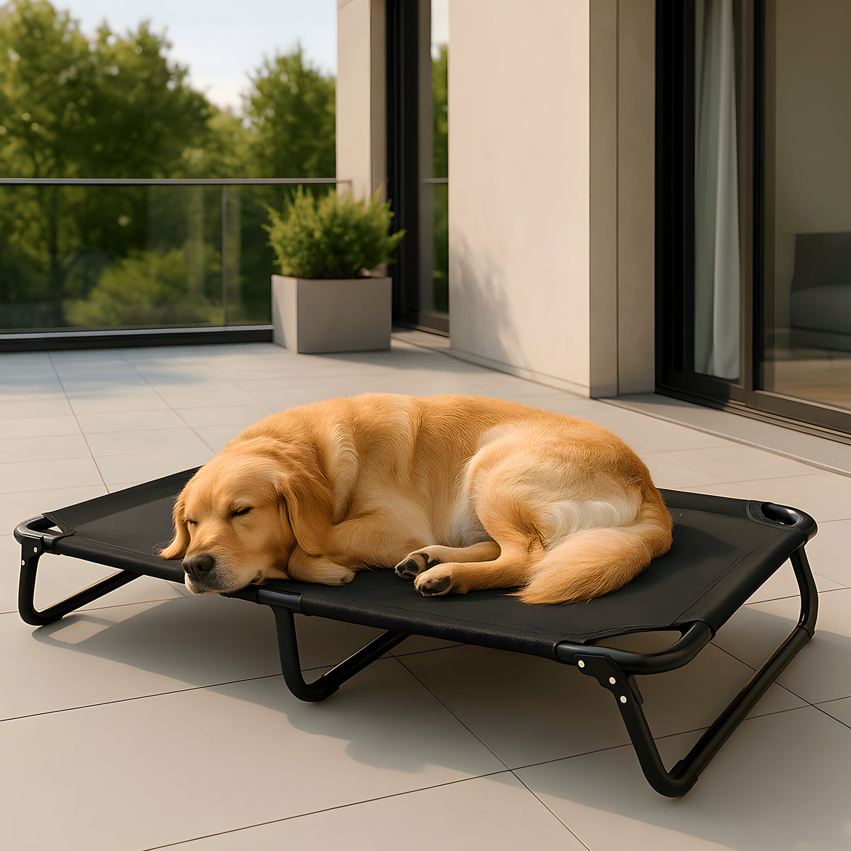 Lit surélevé pliable noir pour chien, coussin en option