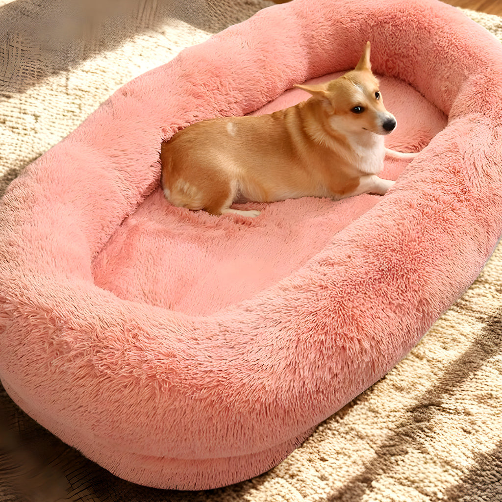 Lit XXL à mémoire de forme 10 cm pour chien géant