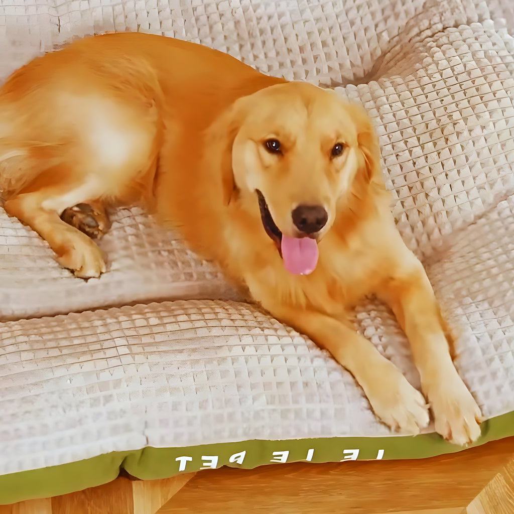 Lit XXL déhoussable 120 x 95 cm pour grand chien
