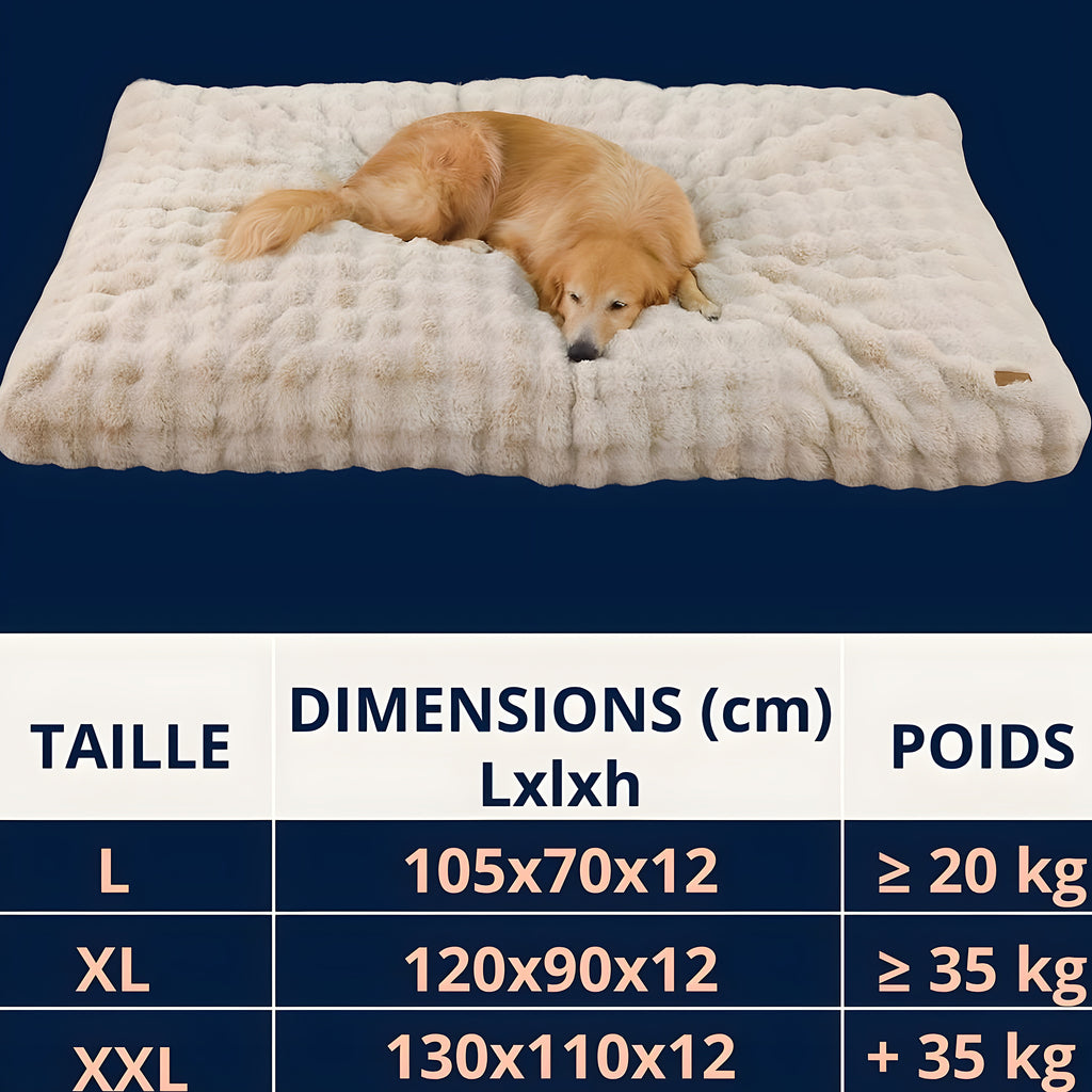 Lit XXL pour très grand chien comme le Saint-Bernard