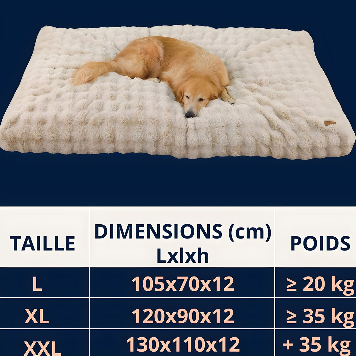Lit XXL pour très grand chien comme le Saint-Bernard