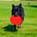 Lot de 2 frisbees en caoutchouc Ø17,8 cm pour chien