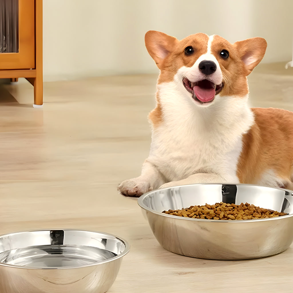 Lot de 2 gamelles en inox 304 pour chien, S à L