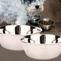 Lot de 2 gamelles en inox 304 pour chien, S à L