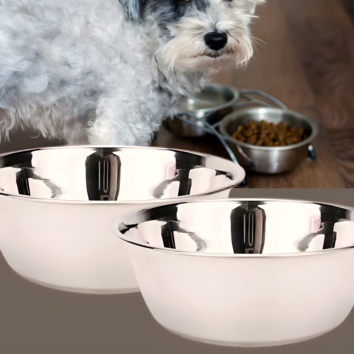 Lot de 2 gamelles en inox 304 pour chien, S à L