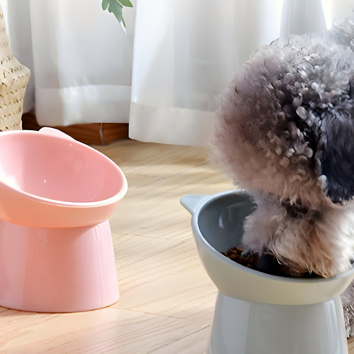 Lot de 2 gamelles inclinées 15° pour petit chien