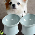 Lot de 2 gamelles inclinées 15° pour petit chien