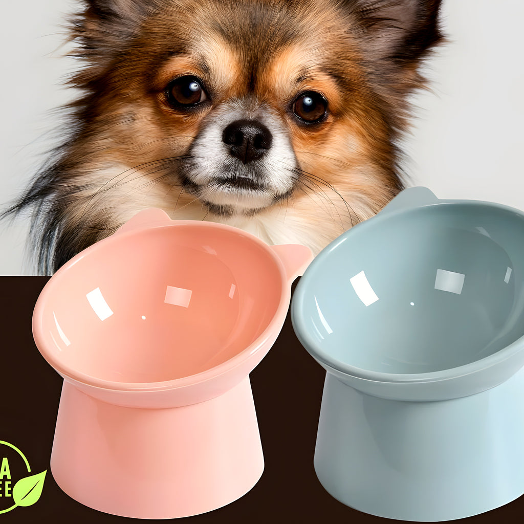 Lot de 2 gamelles inclinées 15° pour petit chien