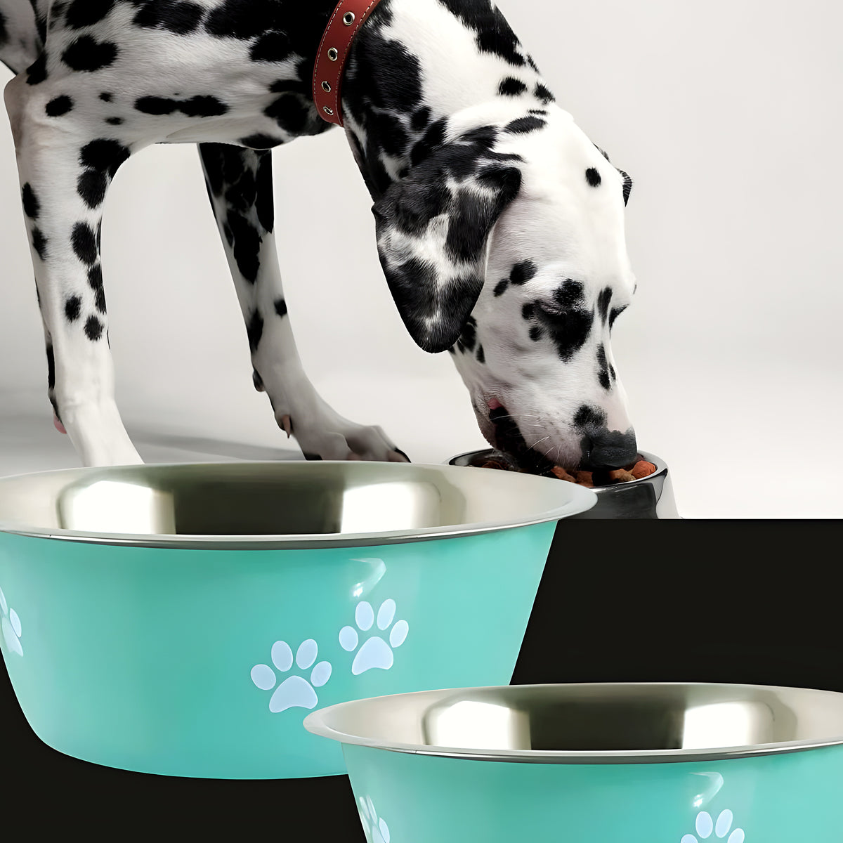 Lot de 2 gamelles inox à motifs pattes, 0,4 à 2 L