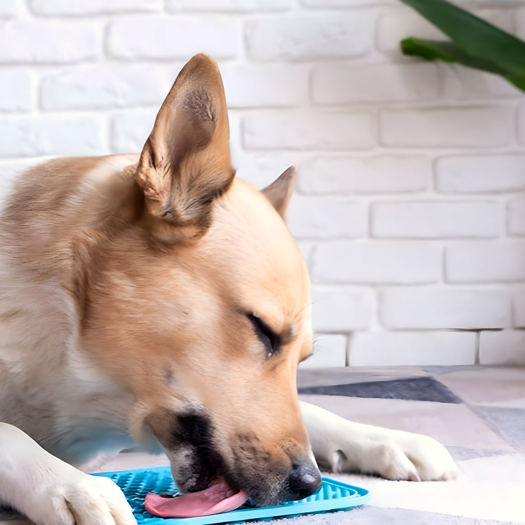 Lot de 2 tapis de léchage en silicone pour chien