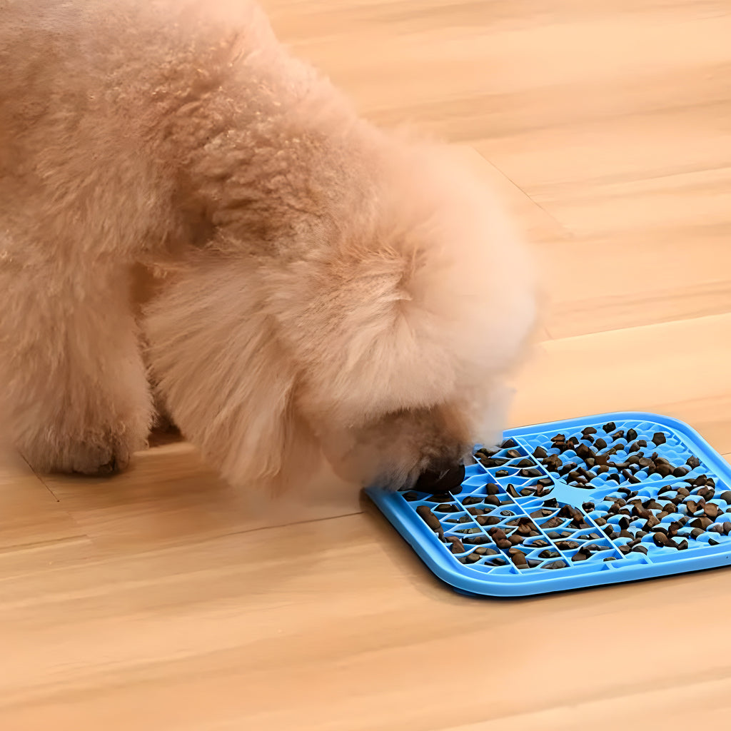 Lot de 2 tapis de léchage en silicone pour chien
