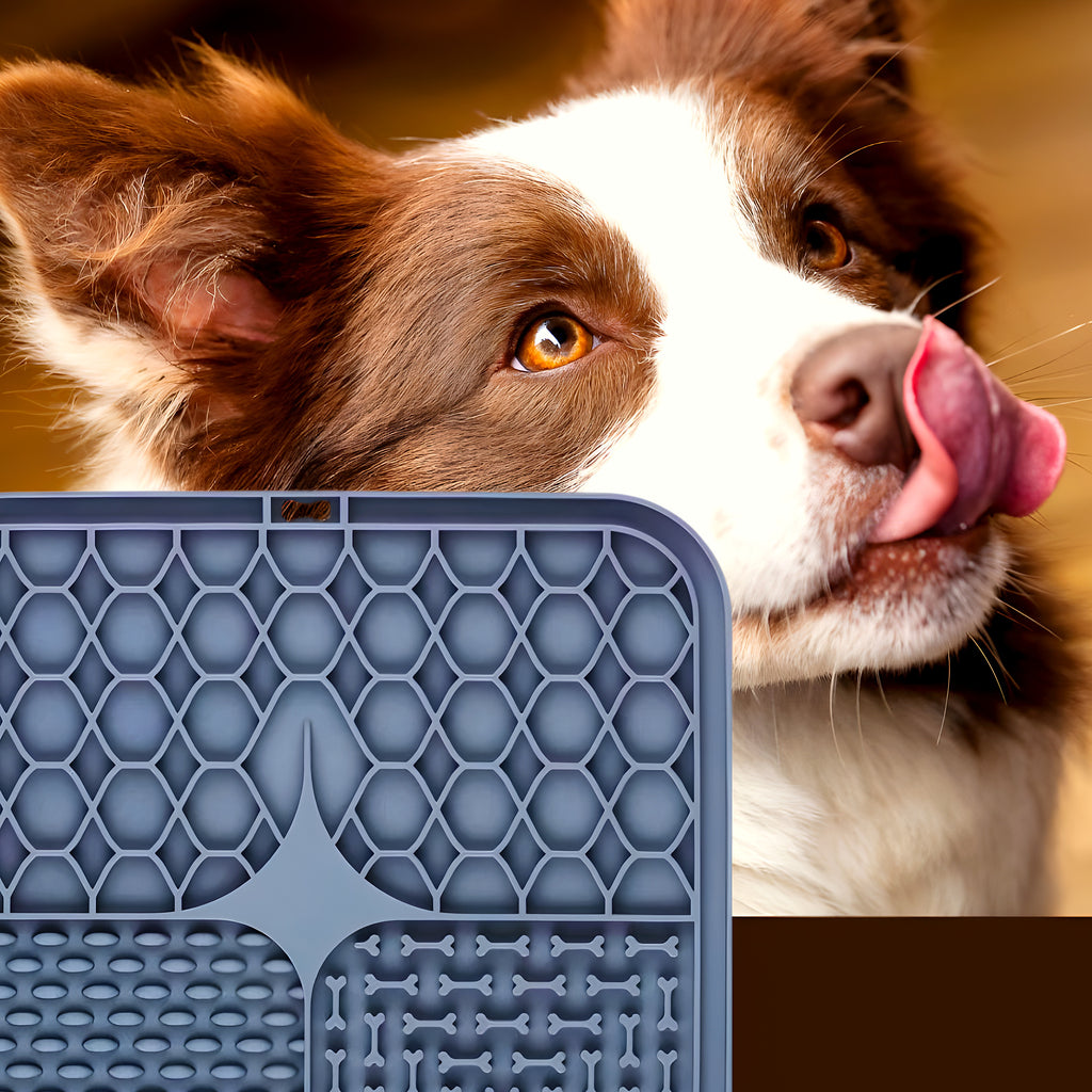 Lot de 2 tapis de léchage en silicone pour chien