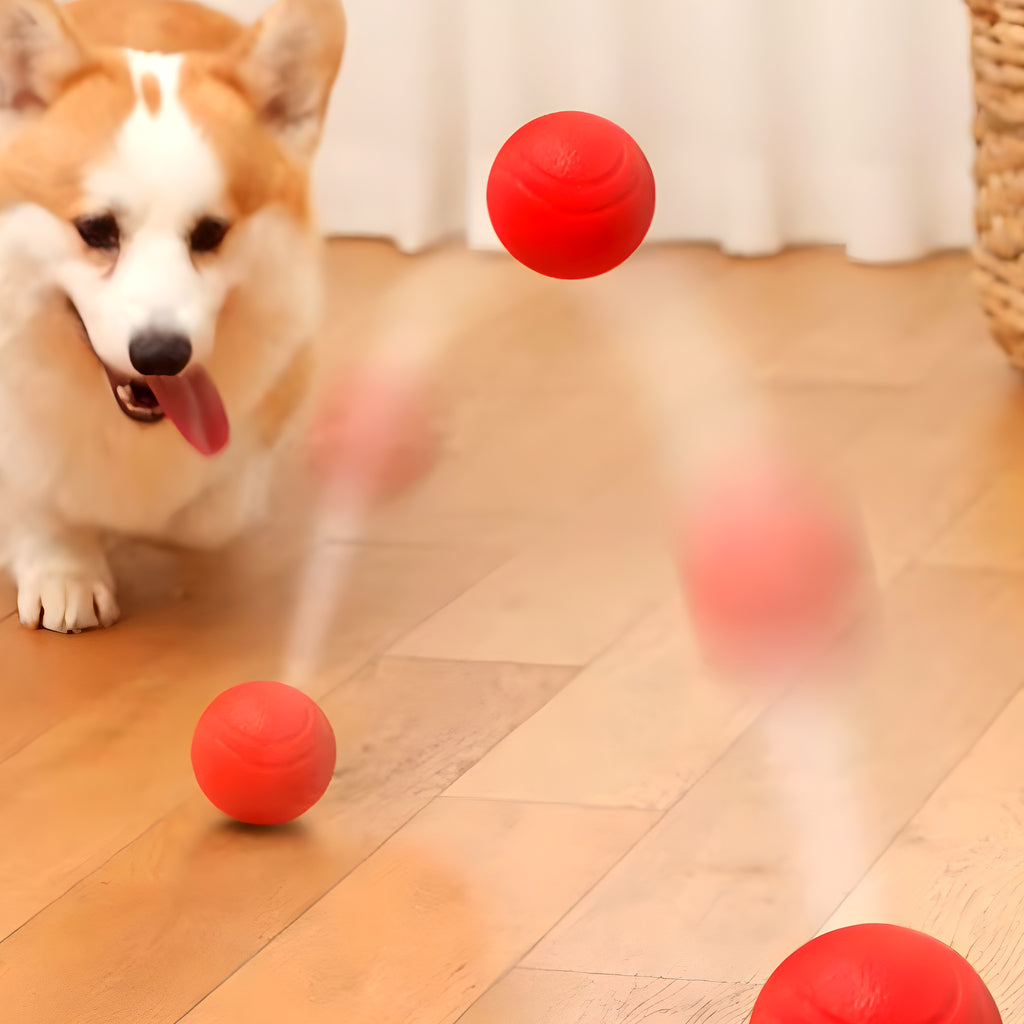 Lot de 3 balles rebondissantes en TPR pour chien, S, M ou L