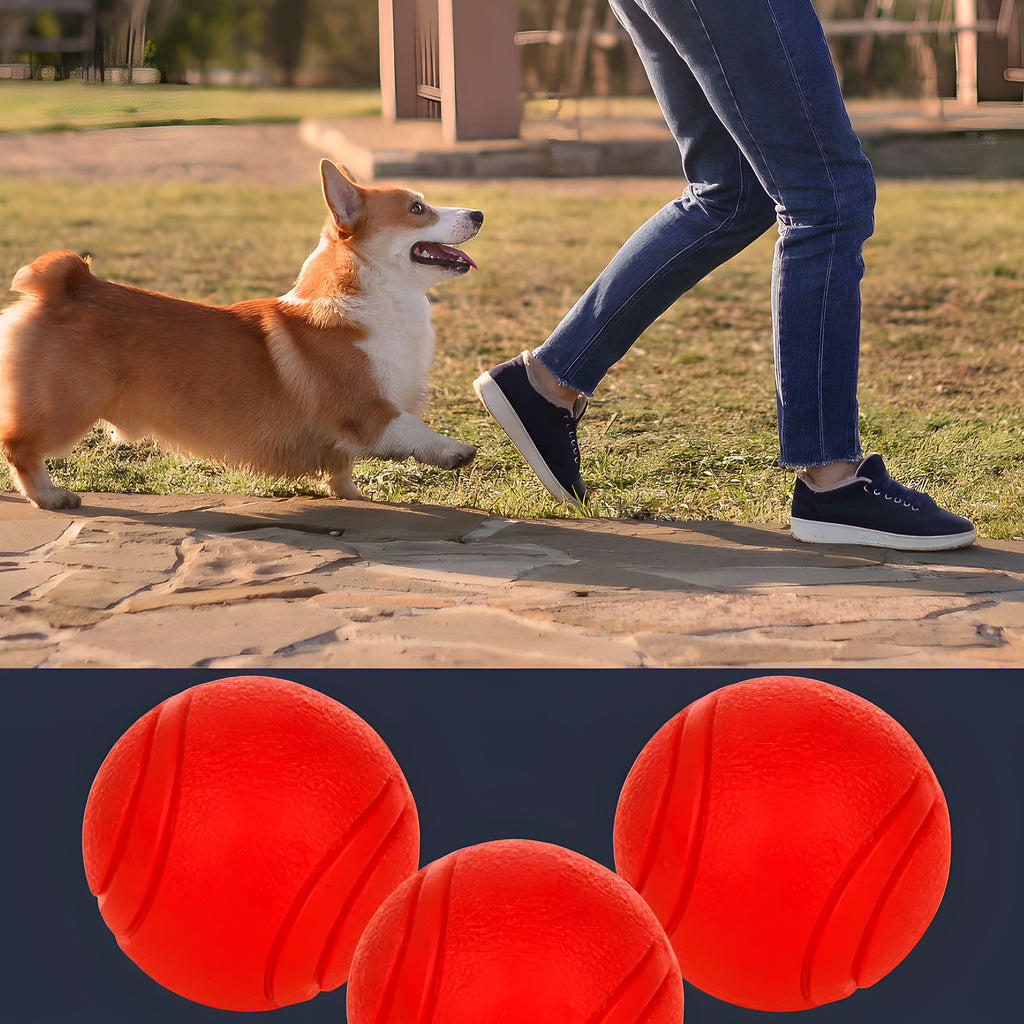Lot de 3 balles rebondissantes en TPR pour chien, S, M ou L